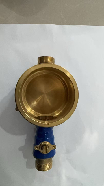 water meter body